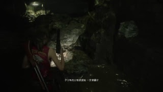 #12　新しいペット来たよ実況　バイオハザードRE:2