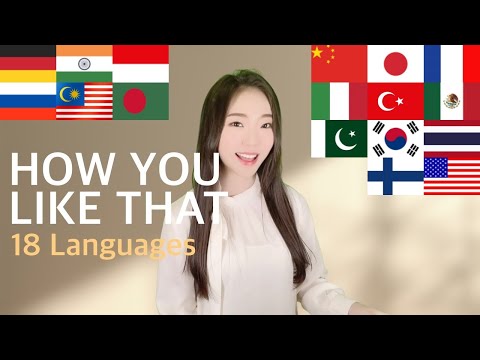 1 GIRL 18 LANGUAGES - How You Like That - BLACKPINK (Multi-Language cover by MiRae Lee)