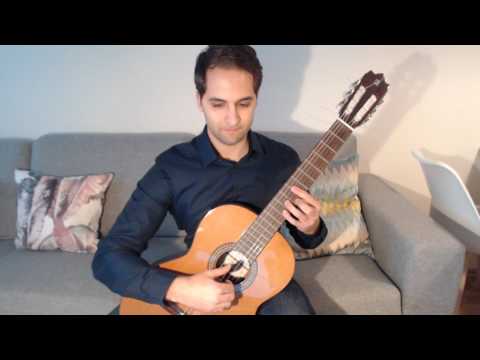 Great Grey Wolf Sif - Dark Souls on Guitar