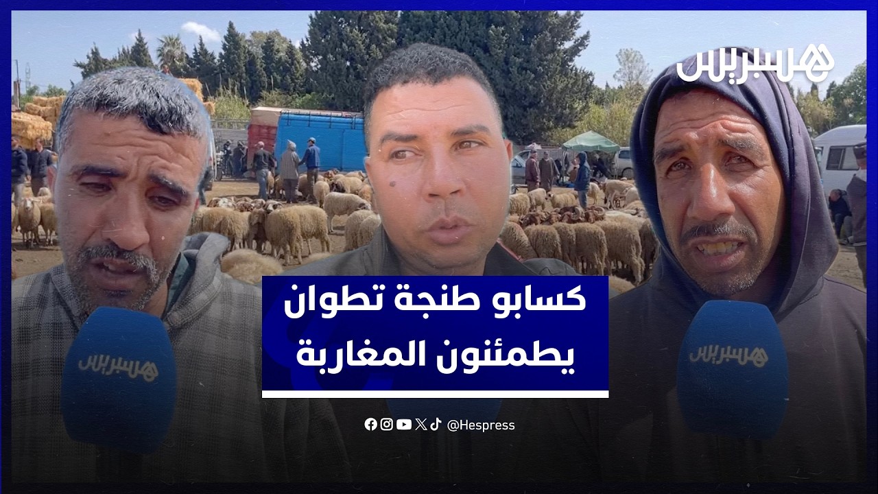 "الخير موجود والسلعة واجدة".. كسابو طنجة تطوان يطمئنون المغاربة حول أضاحي العيد thumbnail