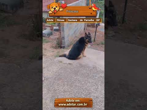 Vídeo de Princesa