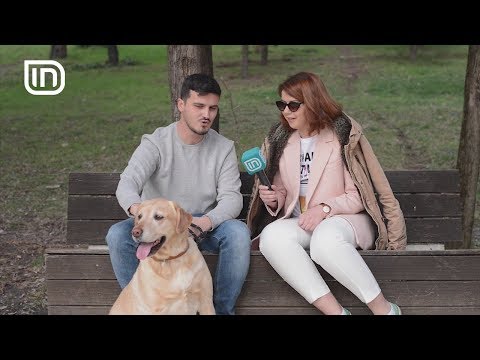 Labradori Doli në Life is Better with Friends 07/02/2018 | IN TV Albania