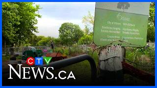 Ottawa community garden closes abruptly as season gets underway