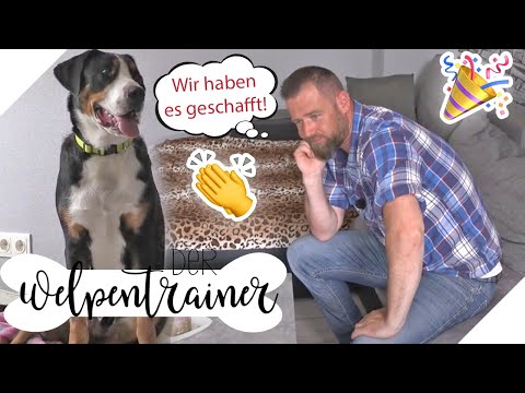 Incredible progress! 🥳 Keeping emotional outbursts under control | The Puppy Trainer | sixx