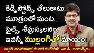 Remedies with Radish in Telugu | ముల్లంగితో అద్భుత మైన ఔషధ చికిత్సలు