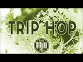 DJ CAM - Twilight Zone Remix