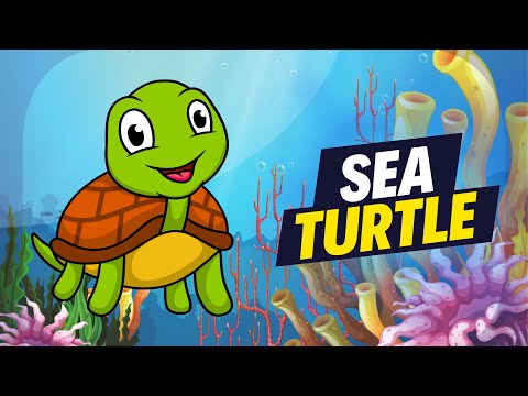Discover AMAZING Sea Turtles Facts for Kids