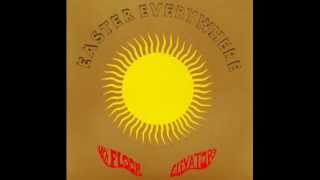 13th Floor Elevators - I Had To Tell You