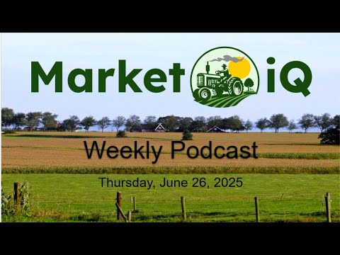 June 26 2025 Market iQ Report