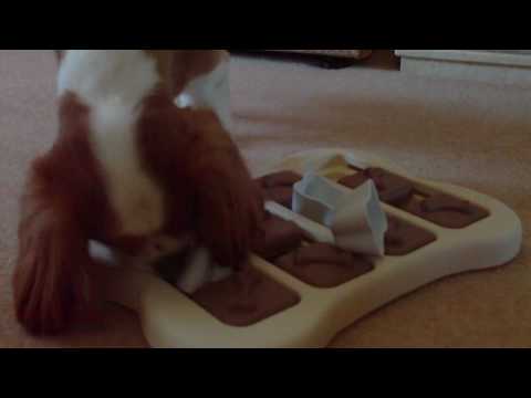 Olly masters the game June2010.MOV