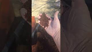 Topping Off the Raised Beds  #garden #gardening #gardeningtips #compost #diy