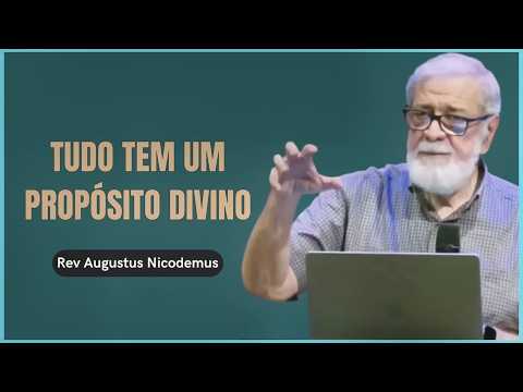 NOTHING IS BY CHANCE: GOD'S PURPOSE IN YOUR LIFE