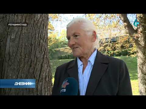 Dan opštine Beočin