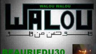 Marocain Rai Walou Walou 2011