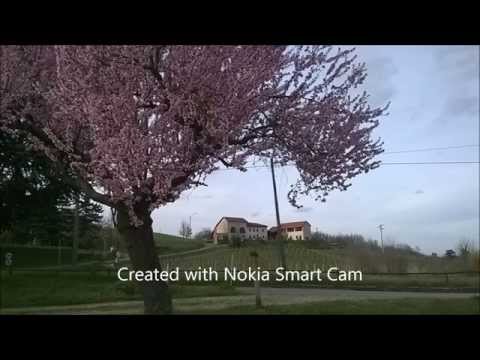 Il Campasso Michela Mancini racconta