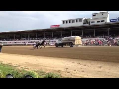 Little Brown Jug 2011 Winner Big Bad John