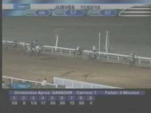 Resumen Jueves 11 de Febrero 2010 - Santa Rita