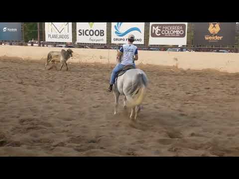 Derrubando o boi parque de vaquejada Bezerra Marinho Riachão do Bacamarte PB 