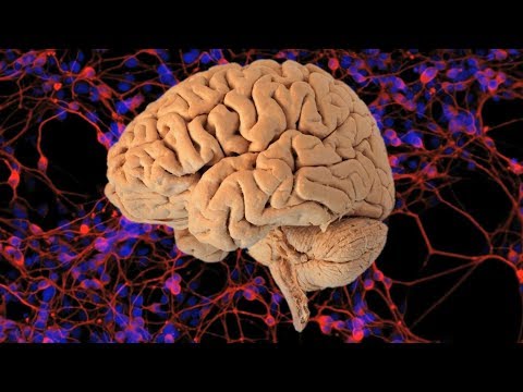 Chemiker zeigen - So fühlt es sich an zu sterben