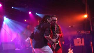 Sinsemilia - Tout le Bonheur du Monde