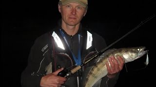 Катушка shimano caenan 100 rh