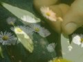 Janny Loseth - I Wish I was a Poet - Ålesund ...