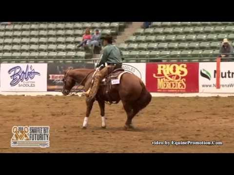 Jacks Little Step ridden by James Montgomery  - 2016 NRCHA SBF (Open Bridle, Prelims)