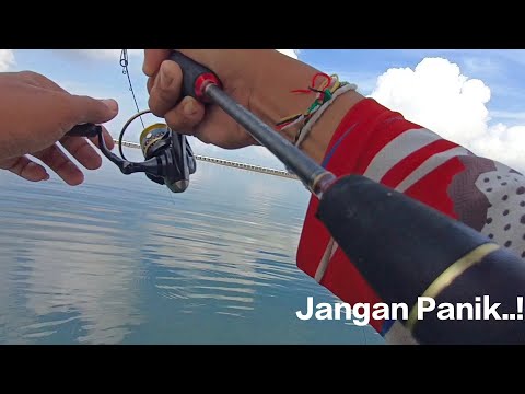 There are so many fish, but no one is fishing.