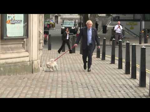 شاهد بالفيديو.. وصول جونسون إلى مركز للاقتراع في لندن برفقة كلبه للإدلاء بصوته في الانتخابات المحلية 