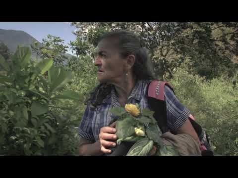 Tierra Negra - Edson Velandia (música original del documental Sembradora)