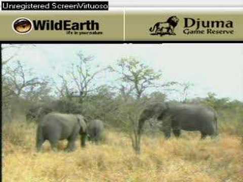 Sunrise drive 090707-6