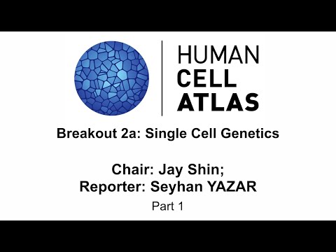 HCA Asia Meeting 2019 - Breakout Session - Single Cell Genetics