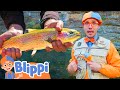 Blippi Caught A Fish Alive 12345 Outdoor Adventures Educational Videos For Kids