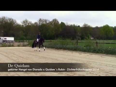 De Quidam Züchterfrühschoppen 2014