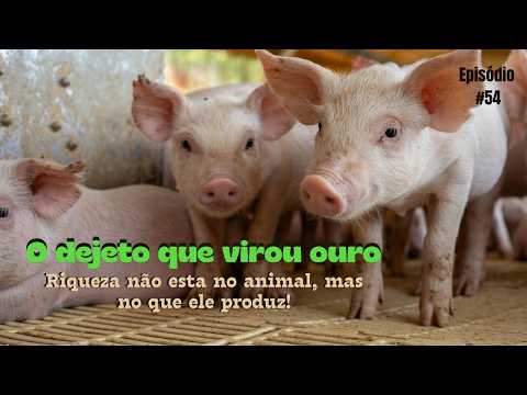 O que antes era tratado como problema agora pode virar fonte de renda extra, diz especialista