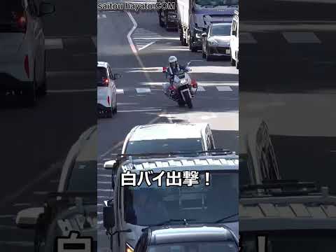 【2台の白バイで護衛する様にサイン会場へ!】目の前でトラック運転手さんがお手本を見せているのに横断歩道をnon stopで走り抜けたアルファードが歩行者妨害で白バイに捕まる一部始終!