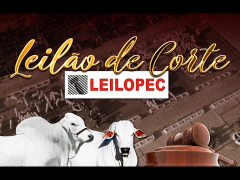 CANAL LEILÕES | LEILOPEC UBERABA - MG (23/11/2025) PARTE 1