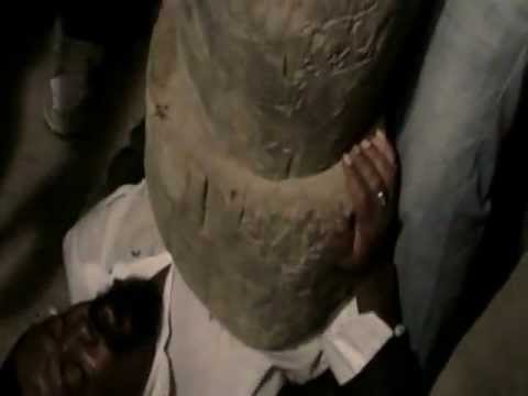 Hongan Lele vodou ceremony 2013. 561-396-3251, 509-3849-3482