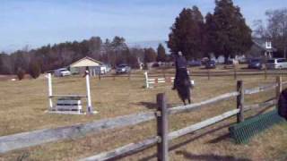 preview picture of video 'Fuerst Rendition, Hillcrest Combined Test 1/23/10, Show Jumping'