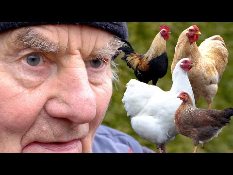 Edu & Tierbewertung Rundgang auf der Ausstellung: Unzufrieden & pingelig oder okay?