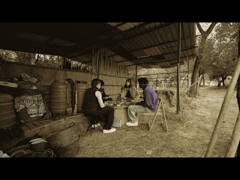 FERRO 4 - 4CTIU$ (Visualizer)