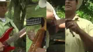 Video Sol Decembrino de Miller Santanilla