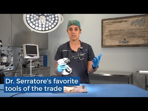 Dr. Serratore's favorite veterinary surgery tool