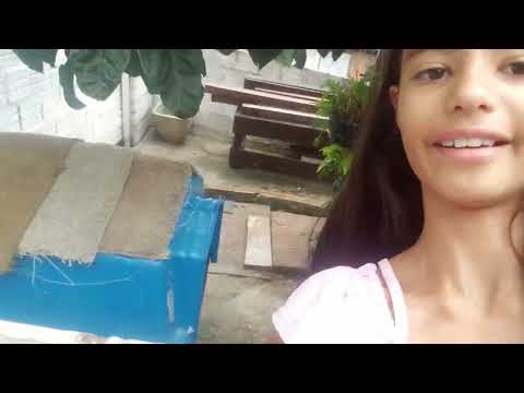 26 de novembro de 2024