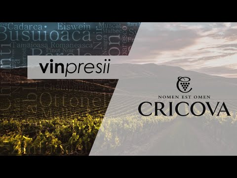 VINpresii Ep. 5 - Degustare on-line - Cricova