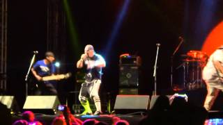 Suicidal Tendencies (tamo ai na atividade) Celebração ao charlie brown jr