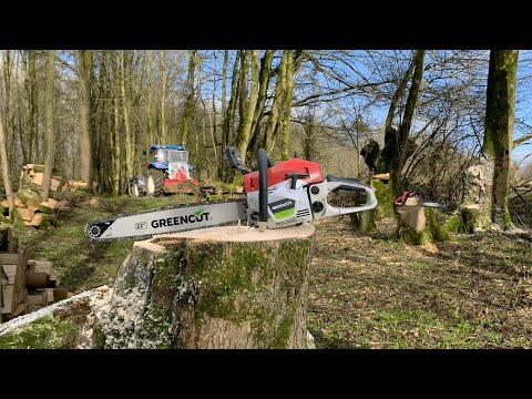 Compilation d'Abattage au Treuil #1 - Greencut GS 680X et Stihl 025