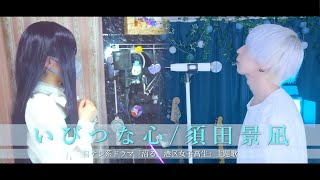 【ドラマ「沼る。港区女子高生」主題歌】いびつな心 /須田景凪 feat. むﾄを歌ってみた- ver.ましゅー × 一 碧依￤Ibitsu na kokoro