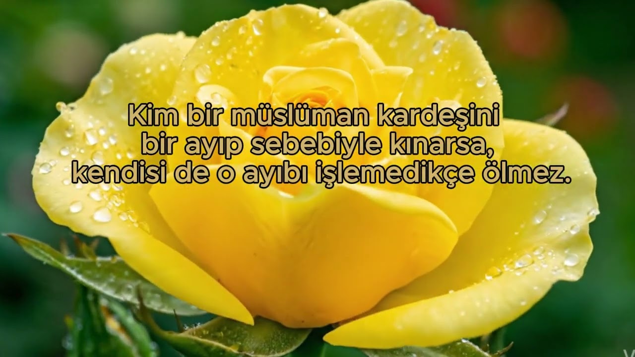 Birinin ayıbıyla alay etme! Sonu çok düşündürücü ⚠️