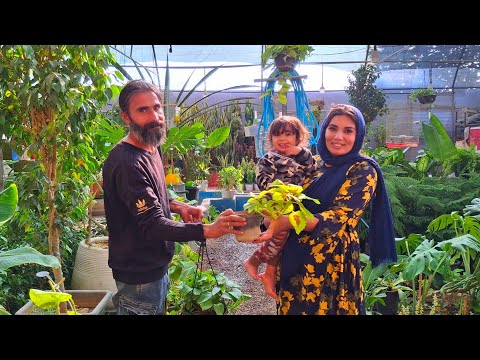 "Nomadic Life of Roghayeh & Abed | Buying Flowers for Their Mountain Cabin"